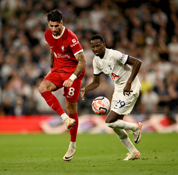 冠中表现可 冠中表现可